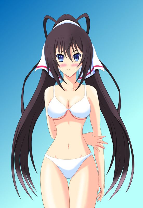 Shino-MoE, broom (infinite Stratos) 335 erotic images 32