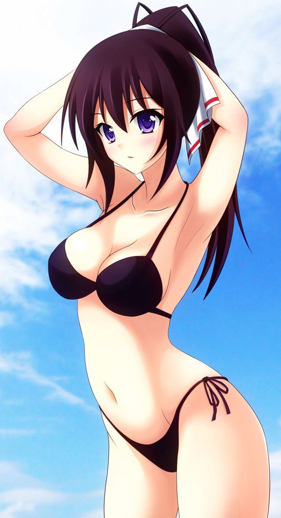 Shino-MoE, broom (infinite Stratos) 335 erotic images 34