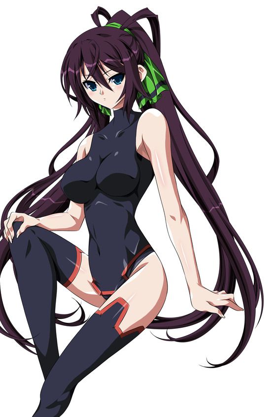 Shino-MoE, broom (infinite Stratos) 335 erotic images 35