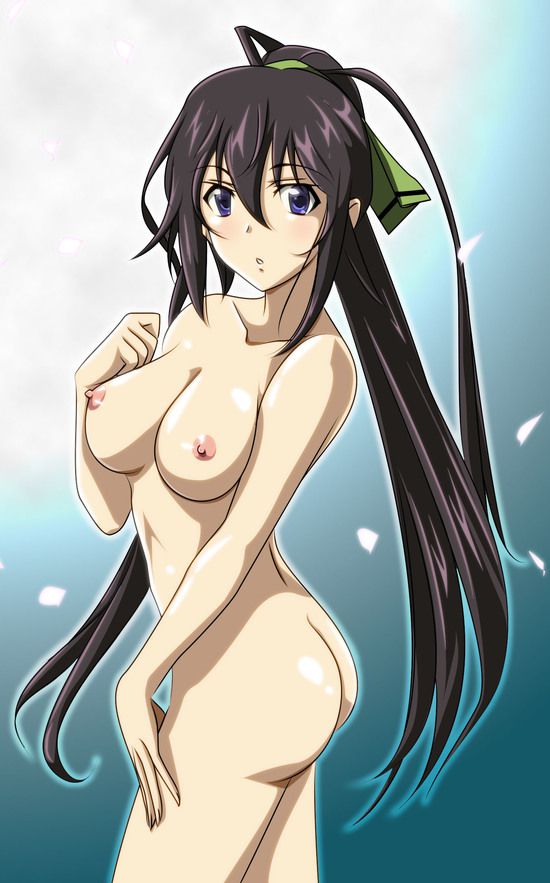 Shino-MoE, broom (infinite Stratos) 335 erotic images 36