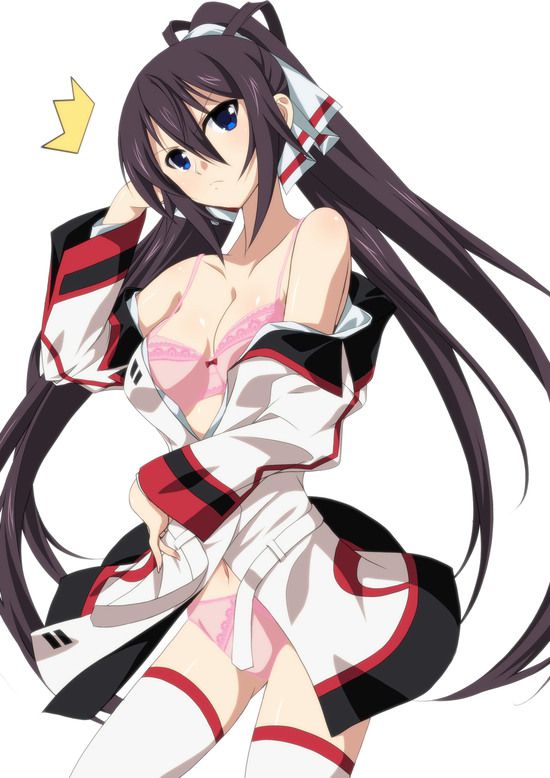 Shino-MoE, broom (infinite Stratos) 335 erotic images 39