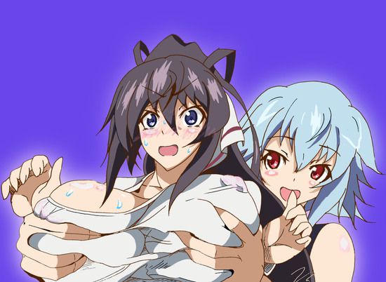 Shino-MoE, broom (infinite Stratos) 335 erotic images 4