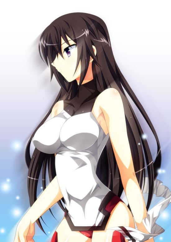 Shino-MoE, broom (infinite Stratos) 335 erotic images 40