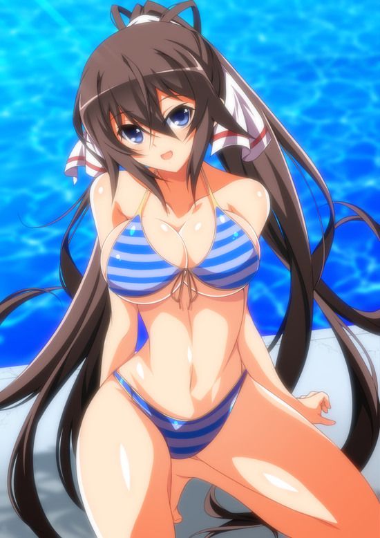 Shino-MoE, broom (infinite Stratos) 335 erotic images 44