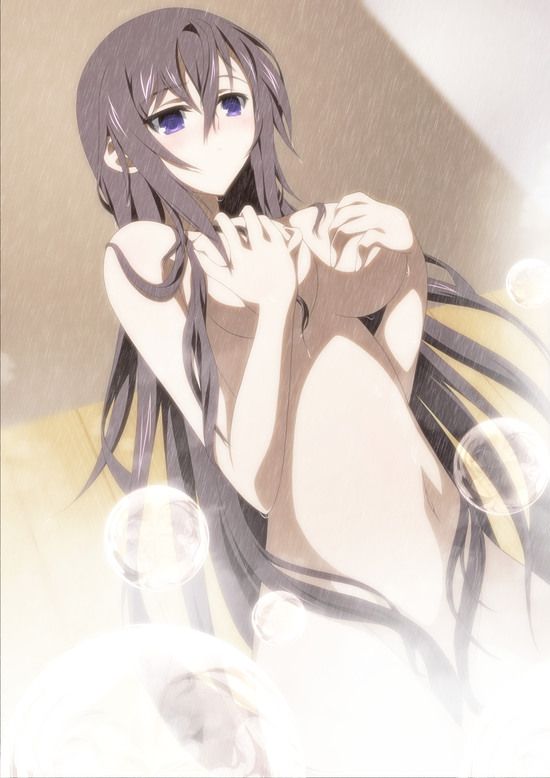 Shino-MoE, broom (infinite Stratos) 335 erotic images 47