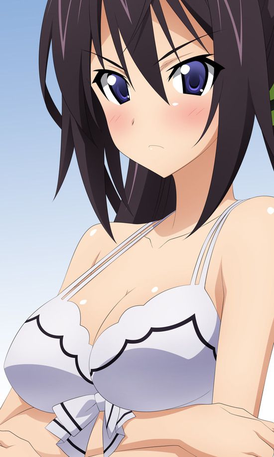 Shino-MoE, broom (infinite Stratos) 335 erotic images 6