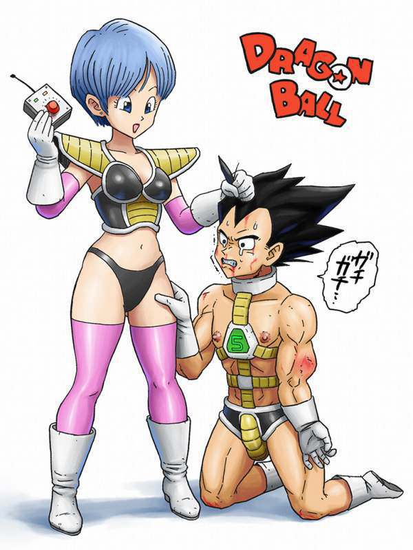 [Dragon Ball] 100 [DRAGON BALL] Bulma secondary erotic pictures 23