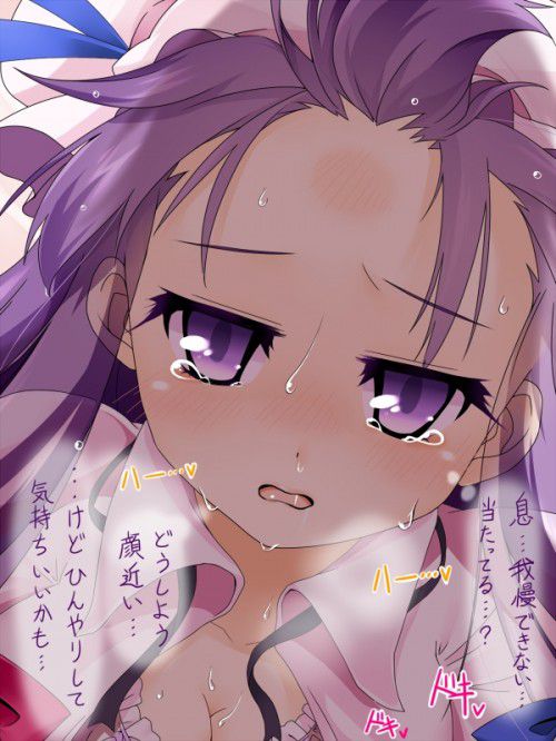 [East] patchouli knowledge's second erotic images (2) 100 [touhou Project] 19