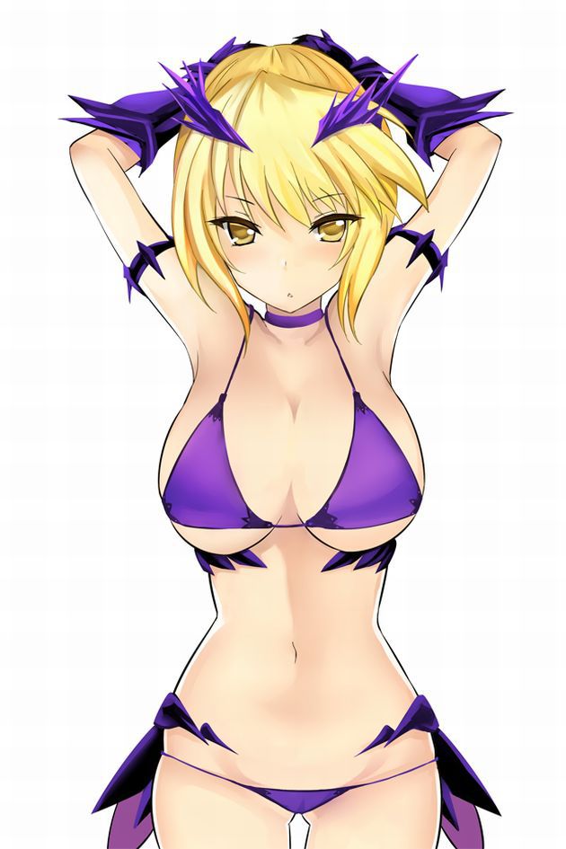 Saber alter game "Fate/Grand Order" erotic cool. Secondary erotic images of clothing. 13