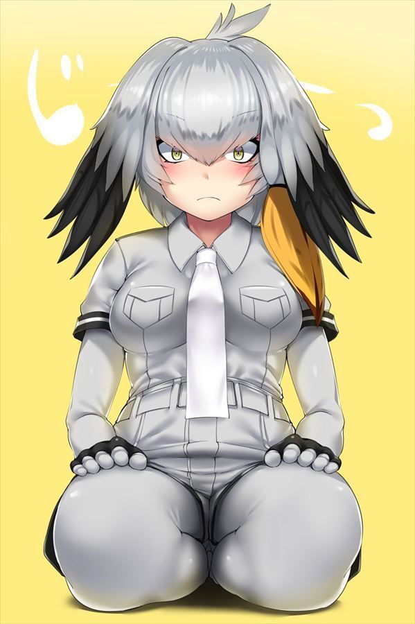 【Erotic Image】A common development when you have delusions of etching with Hashibirokou! (Kemono Friends) 13