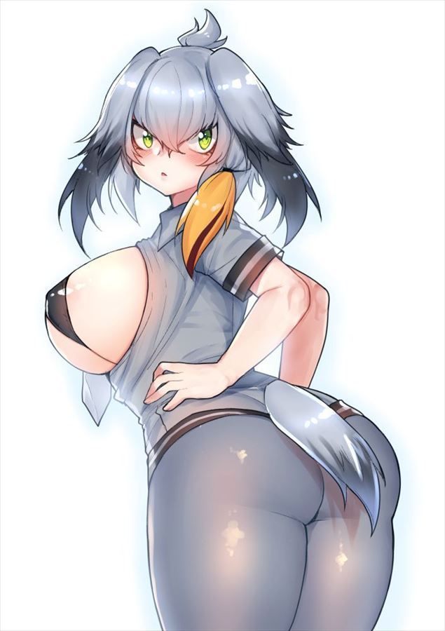 【Erotic Image】A common development when you have delusions of etching with Hashibirokou! (Kemono Friends) 14