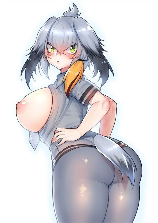 【Erotic Image】A common development when you have delusions of etching with Hashibirokou! (Kemono Friends) 15