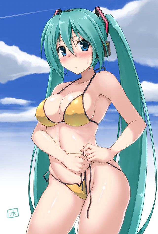 [2次] swimsuit girl secondary images (non-erotic-swimsuit) 16