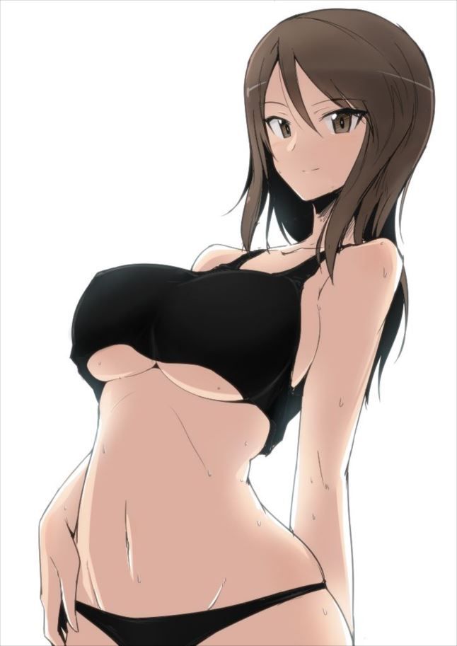 Erotic pictures of girls & Panzer! 11