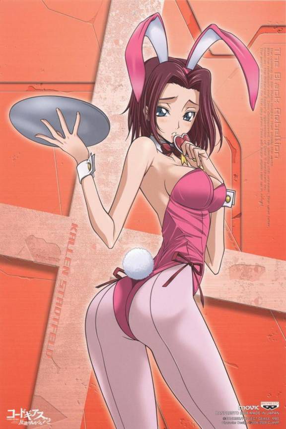 Naughty Bunny-Chan picture collection w part13 [second Bunny images: show immodest whip crotch V line or fishnet tights in a bunnysuit 10