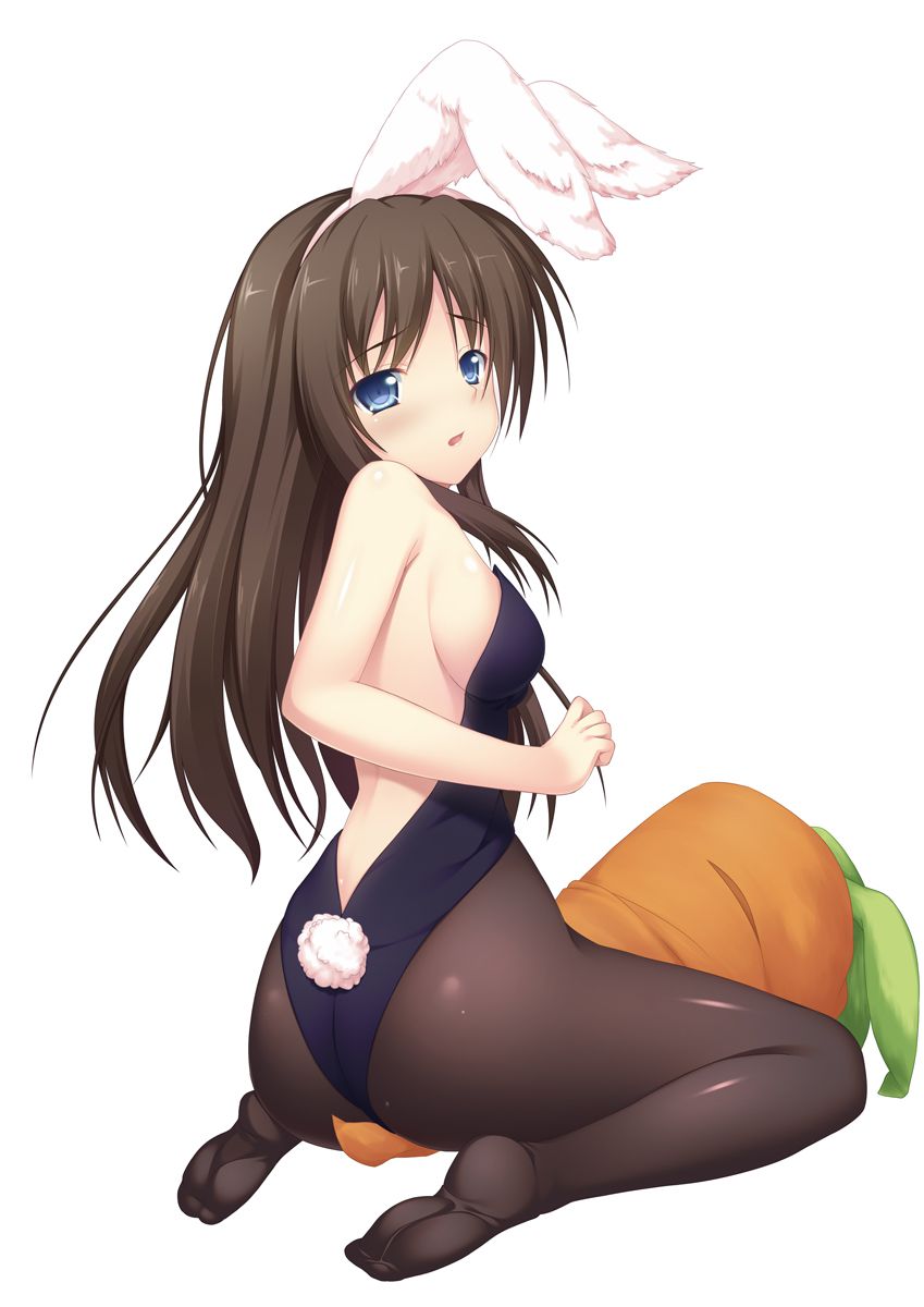 Naughty Bunny-Chan picture collection w part13 [second Bunny images: show immodest whip crotch V line or fishnet tights in a bunnysuit 3