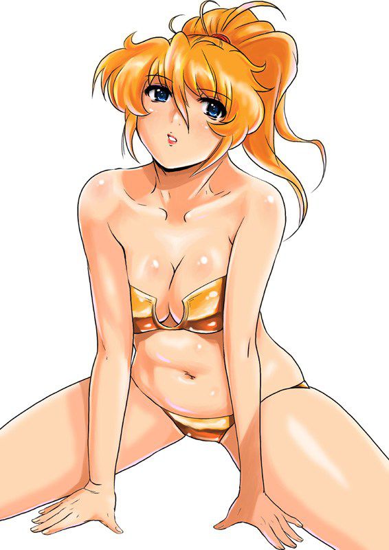 [48 pictures] Super Robot taisen series excellen Browning erotic pictures! 27