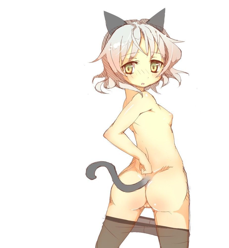 Strike witches Sanya v.Litvyak congratulations on your birthday! Erotic image part4 (50 sheets) 7