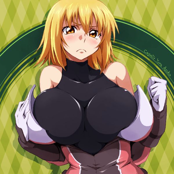 Mobile Suit Gundam SEED, cagalli yula athha congratulations on your birthday! Erotic image part4 (40 cards) 34