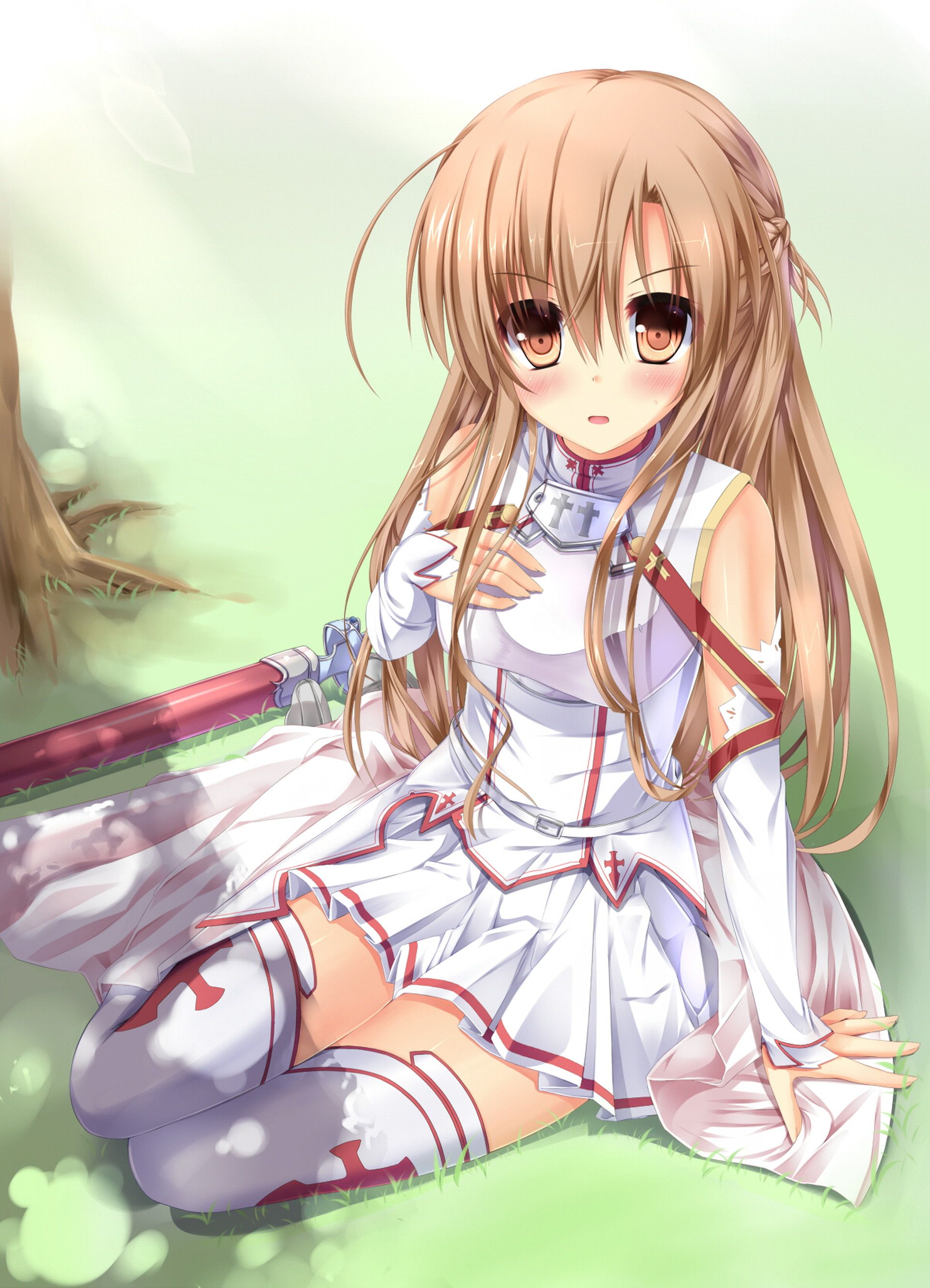 [SAO] sword online image collection of Asuna, part14, silica etc. [secondary animation] 1