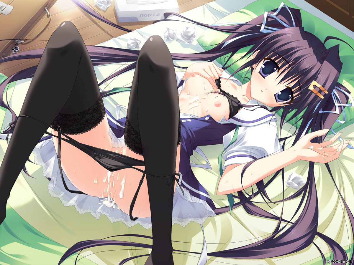 2D garter belt with a little adult anime hentai images 43 33