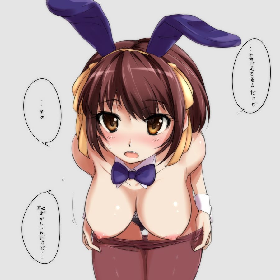 【The Melancholy of Haruhi Ryonomiya】 Erotic image summary that makes you want to go to the two-dimensional world and make you want to mess with Haruhi Ryonomiya 12