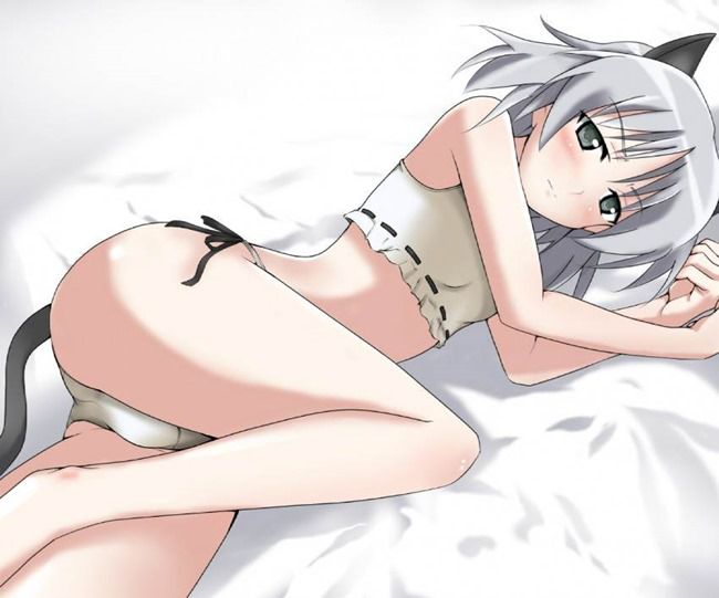 Sanya V Litvyak's second erotic images! [Strike Witches] 25