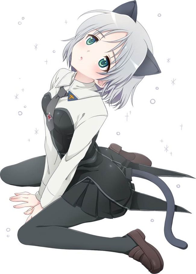 Sanya V Litvyak's second erotic images! [Strike Witches] 28