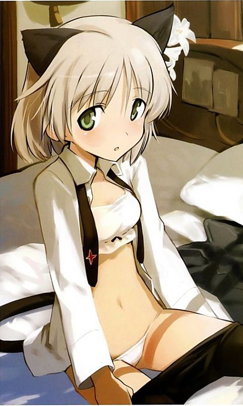 Sanya V Litvyak's second erotic images! [Strike Witches] 9