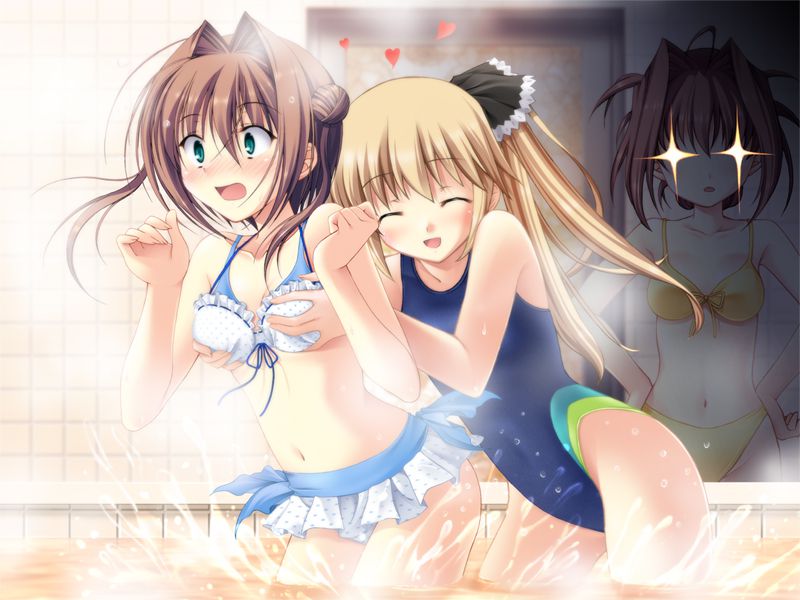Of two-dimensional girls can enjoy body swimsuit picture vol.4 2