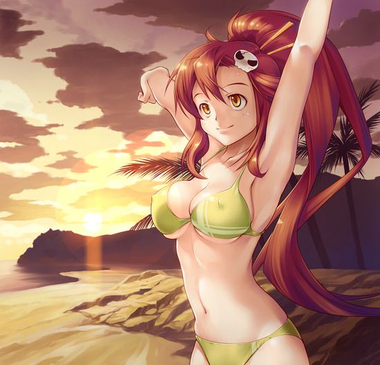 Of two-dimensional girls can enjoy body swimsuit picture vol.4 8