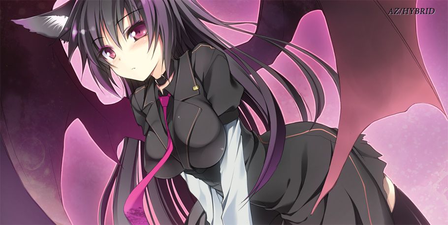 Like attacked by night! Sister of demon succubus hentai images vol.4 20