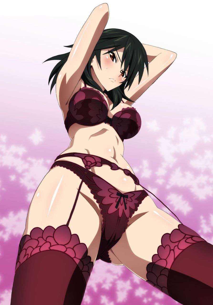 [Infinite Stratos] anime alot pictures 2 9