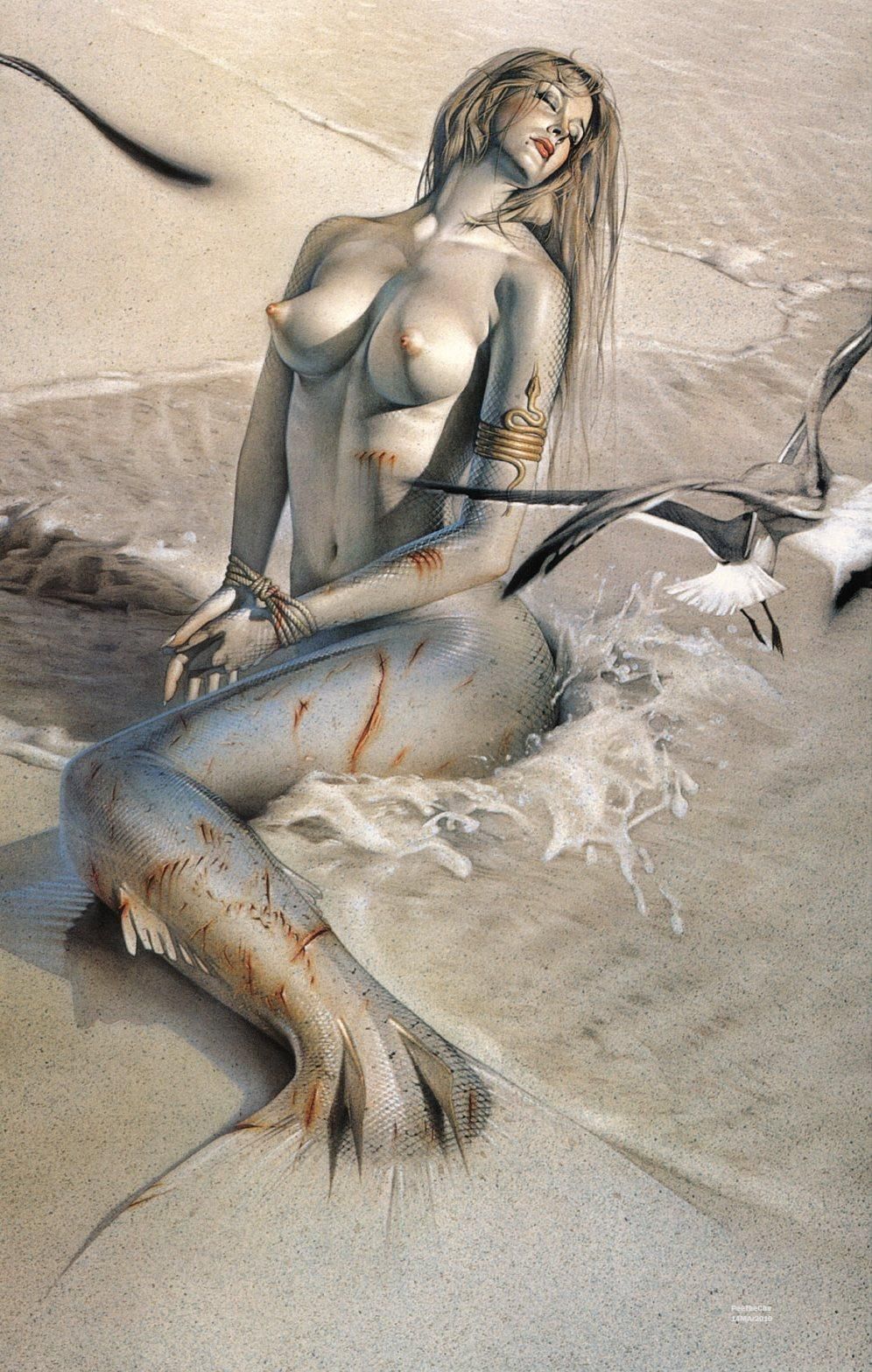 [Diplomat system: Mermaid! Erotic picture 6 8