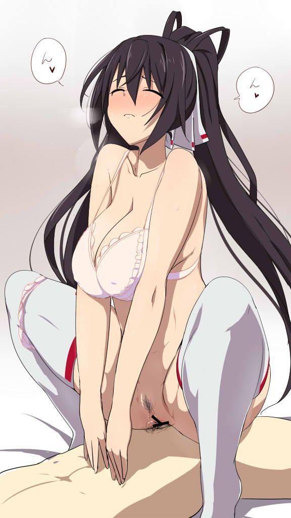 Exit erotic images of Infinite Stratos please! 14