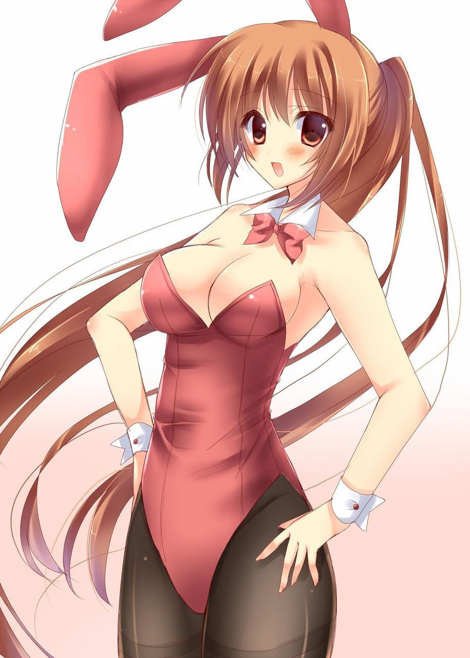 [2次] 2: erotic pictures erotic cute Bunny Bunny 20 29