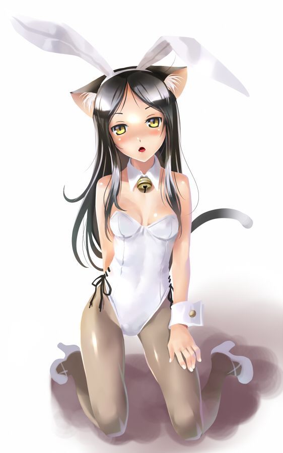 [Secondary] cute Bunny girl outfit I'm erotic images 1