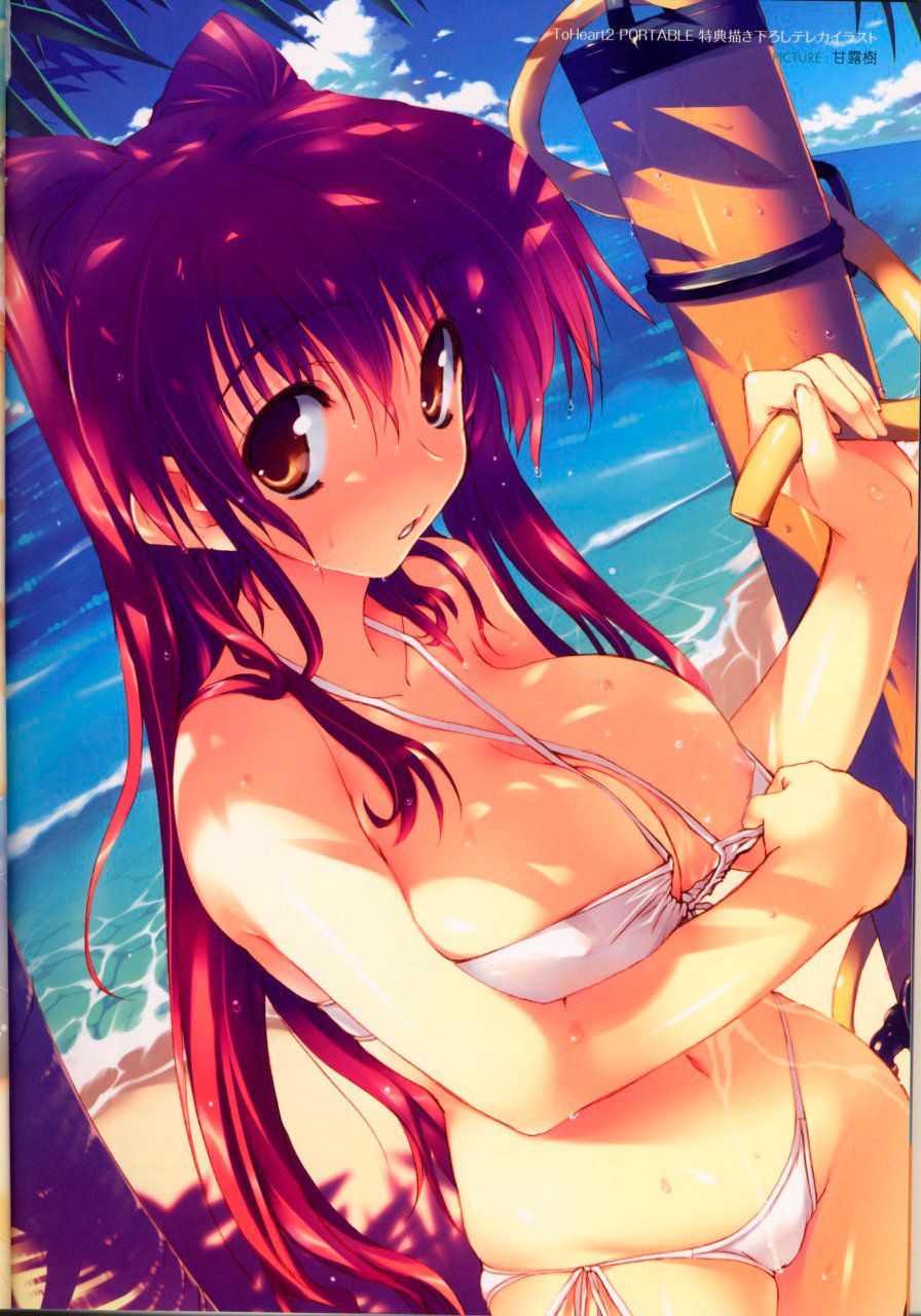 [ToHeart2] kousaka Tamaki (sister) secondary erotic images part 1 50 14
