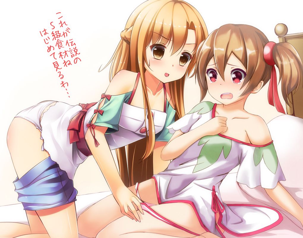 [Sword online 】 silica erotic pictures part 2 24