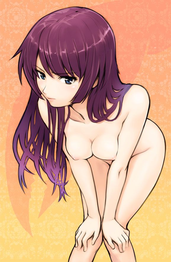 [Bakemonogatari] senjogahara, hitagi erotic images part 1 2