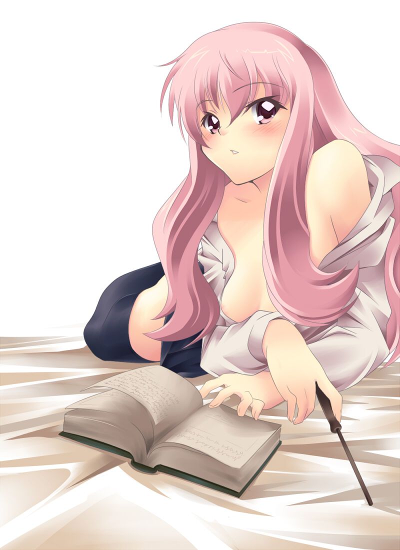 [Zero no tsukaima: Louise erotic images part 3 25