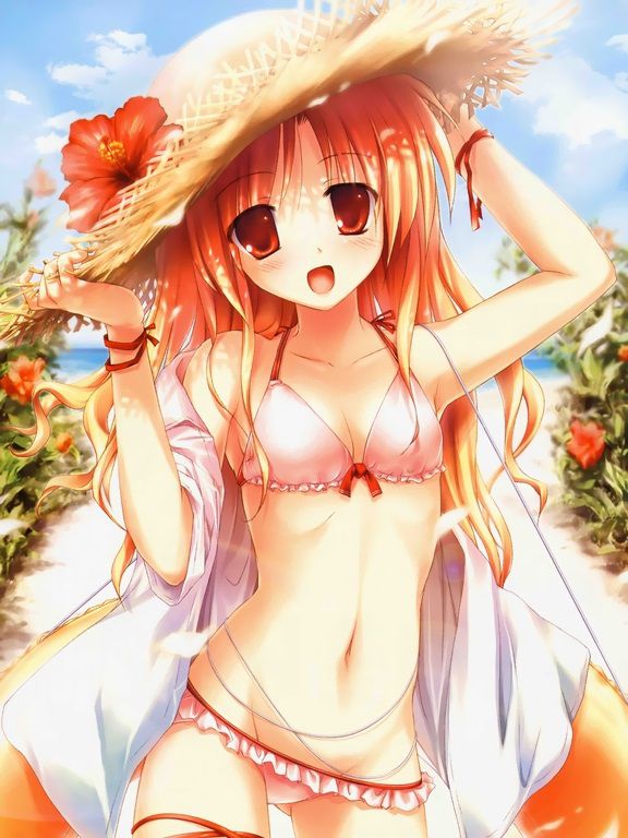 I'm wearing a straw hat 2-d girl image should (32 photos) 18