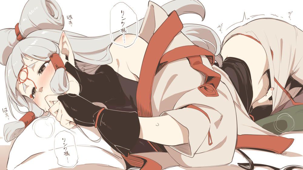 【The Legend of Zelda】Cute H secondary erotic image of Paya 14