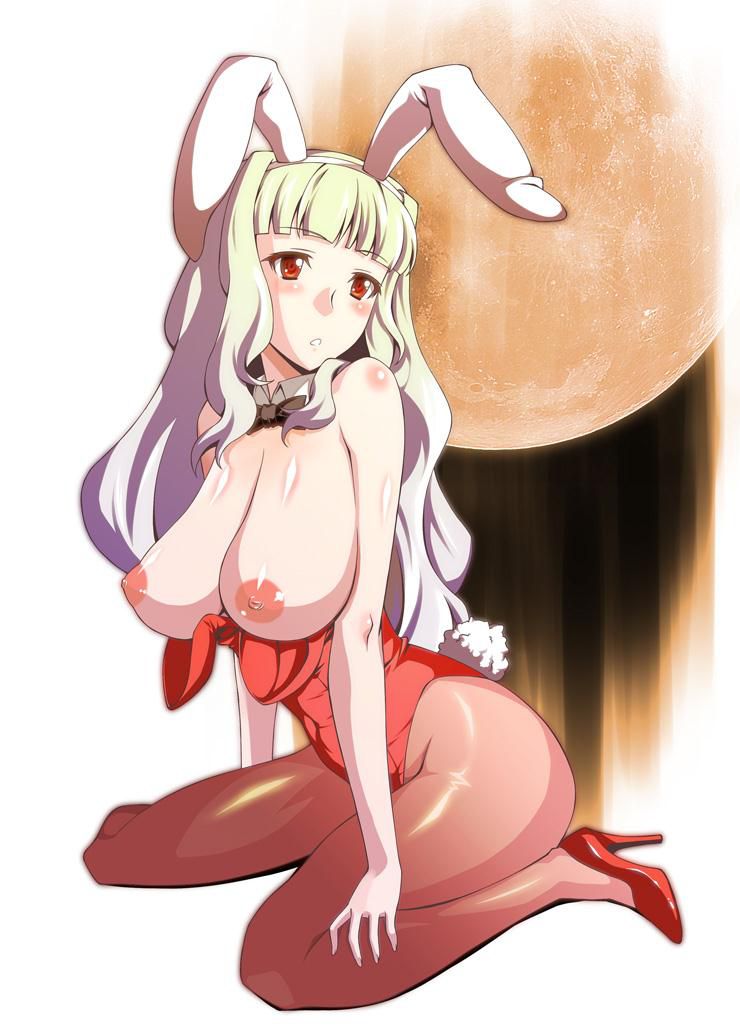 [2次] 2: erotic pictures erotic cute Bunny Bunny 8 20