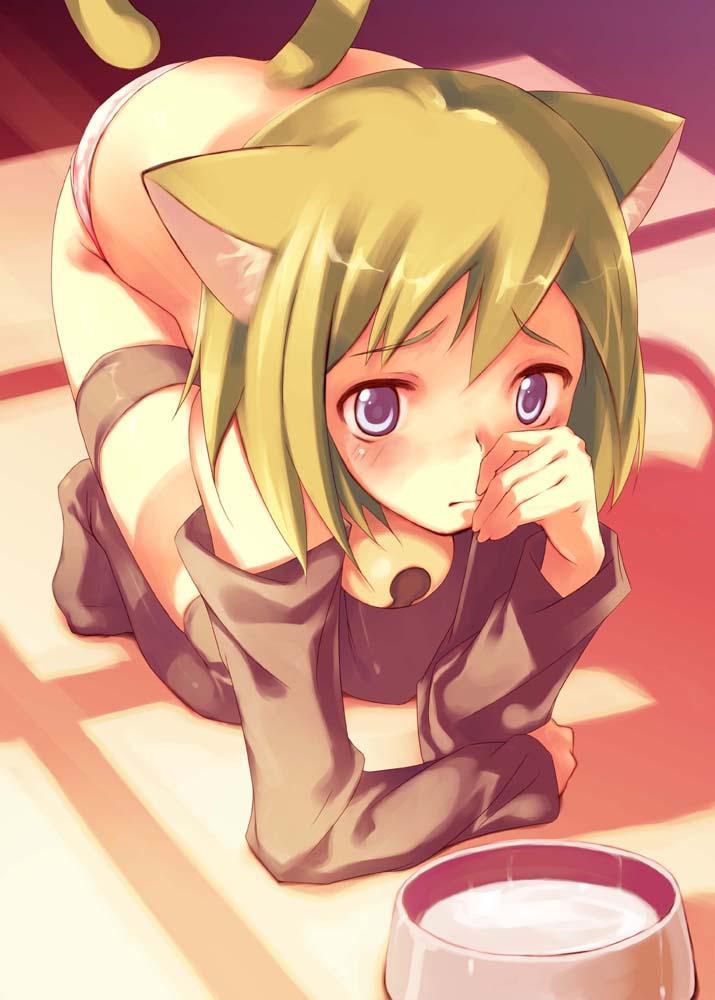 catgirls and others kemonomimi pics 16