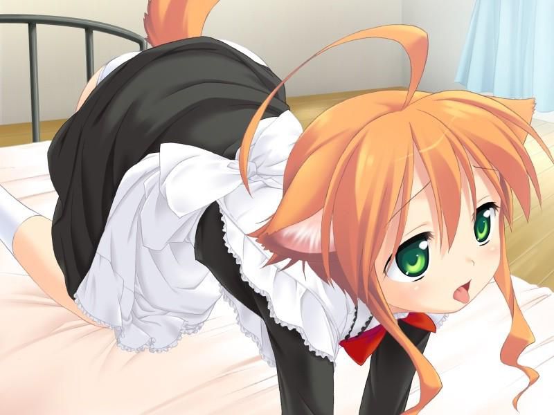 catgirls and others kemonomimi pics 47