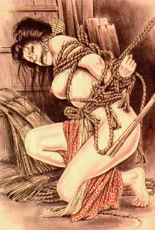 Shibari (asian bondage) 14