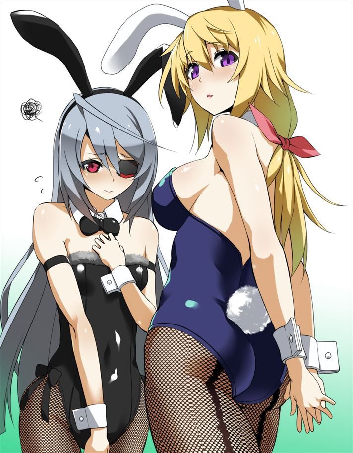 Rainbow erotic images of Infinite Stratos 1