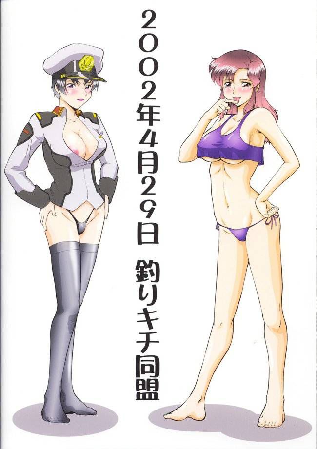 Gundam Seed Images 26