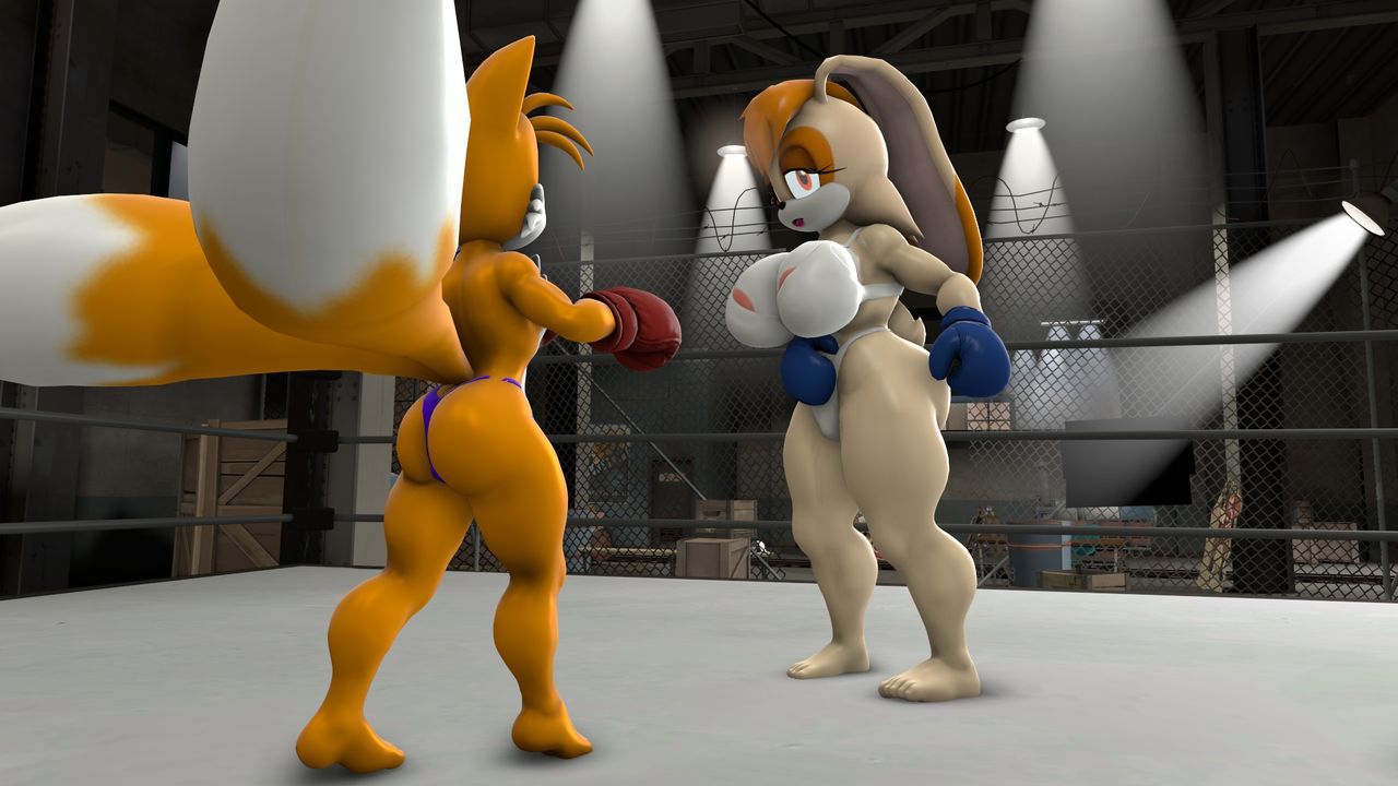 [TheHumbleFellow] Sparring (Sonic the Hedgehog) 11